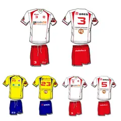 Divisa Volley Ceprano 2012 2013: abbigliamento realizzato da Risoluzioni Grafiche